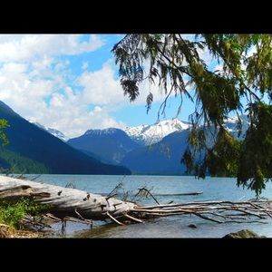 Meet your Posher, Paula